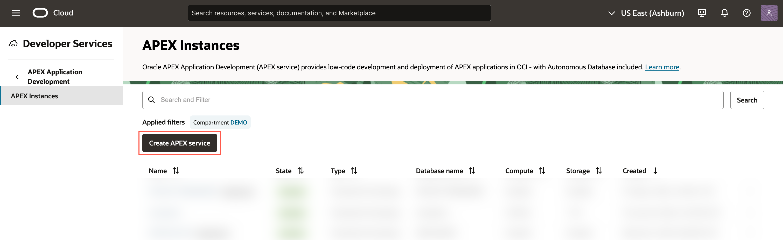 APEX instance page