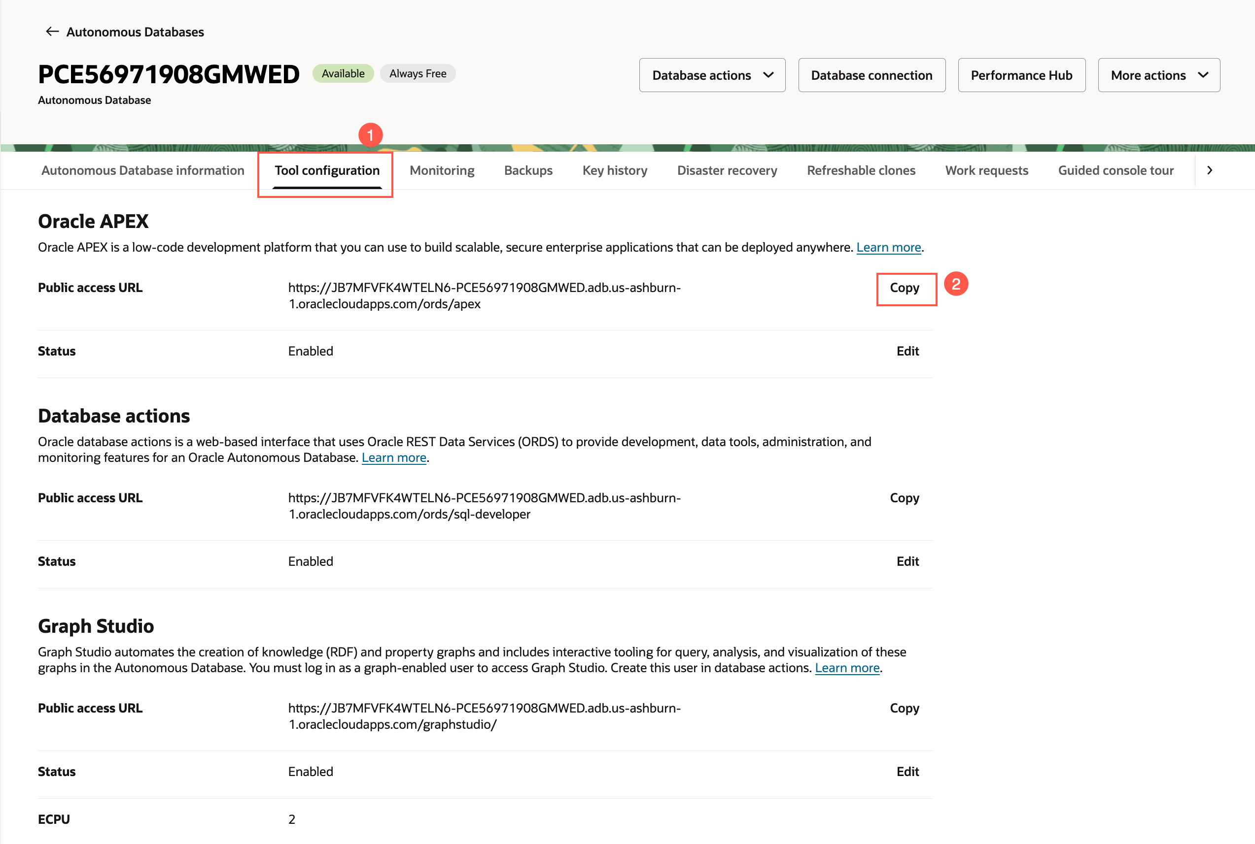 Launch APEX instance