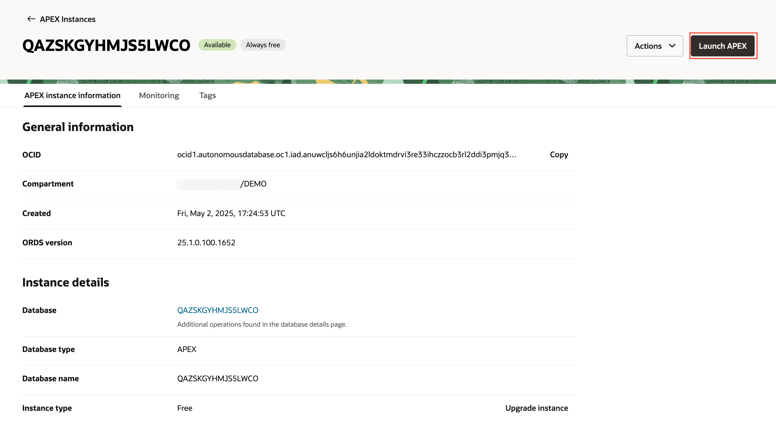 APEX instance page