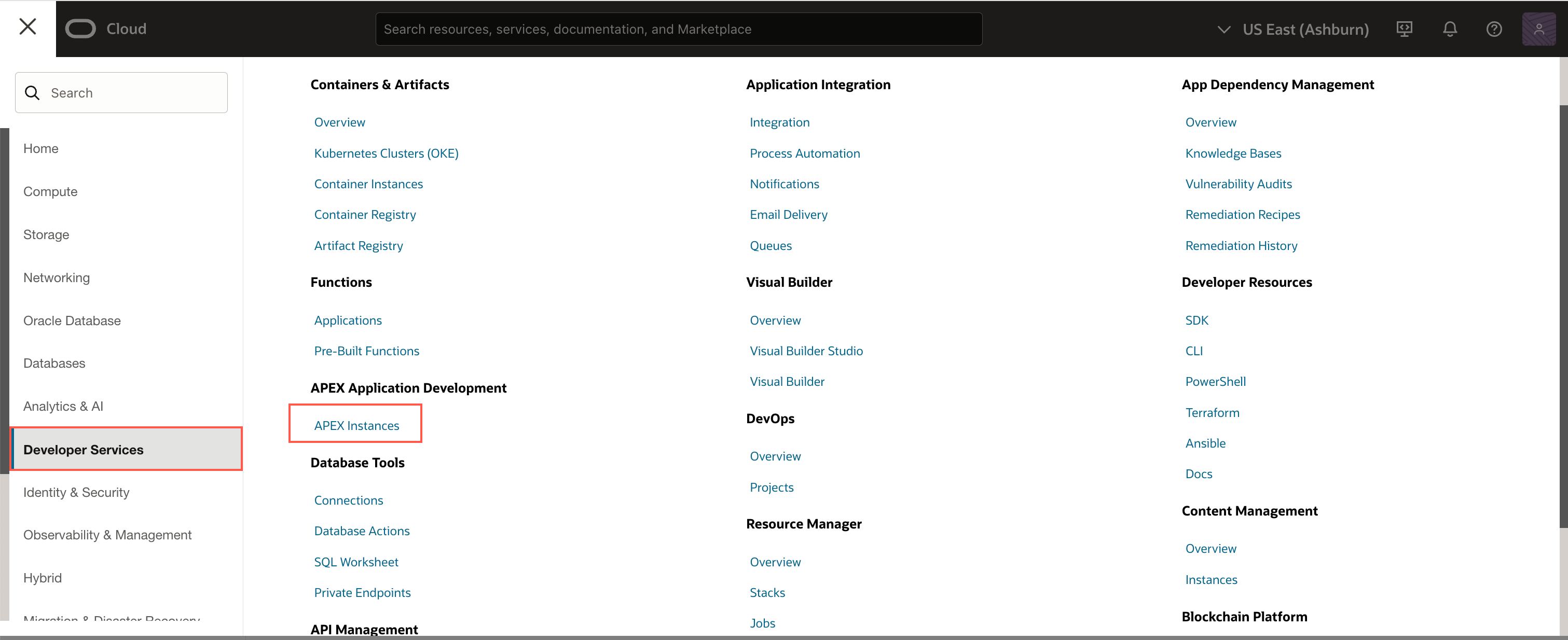 APEX instance page