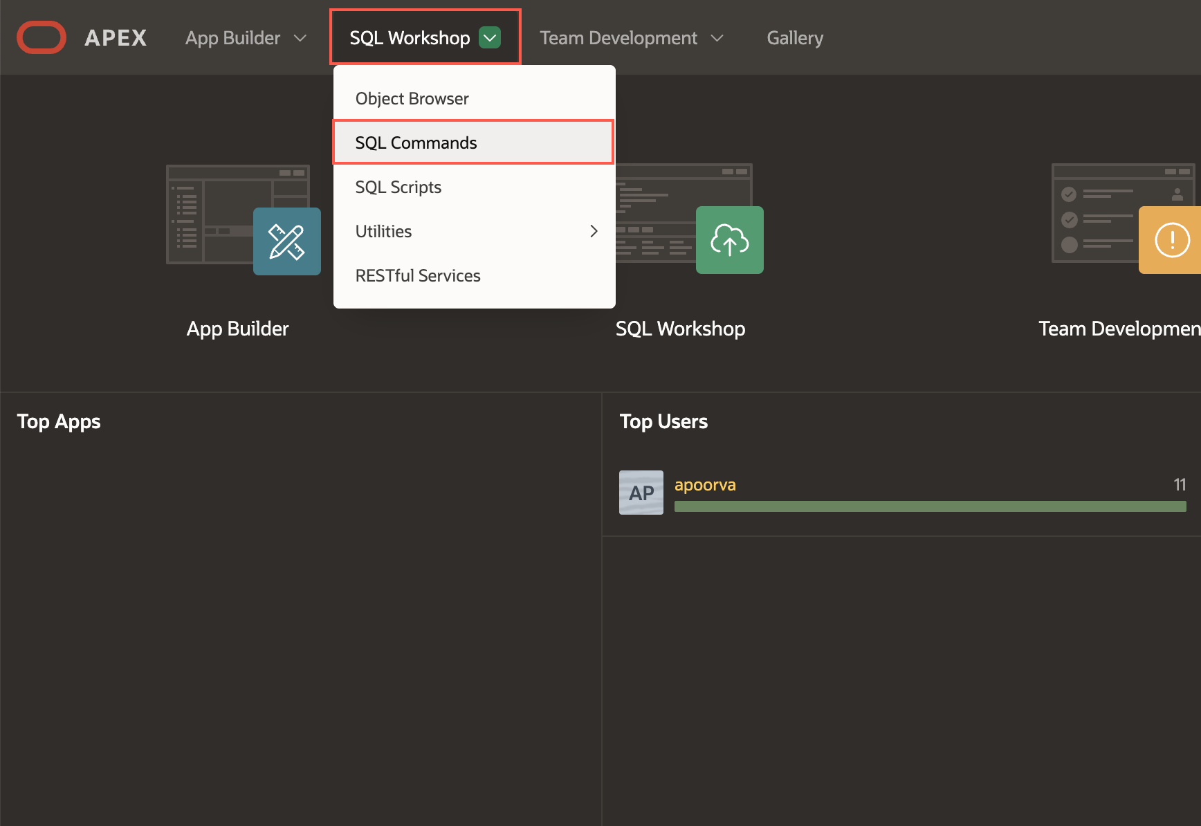 APEX workspace