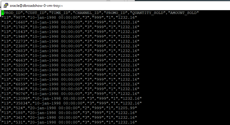 edit csv file